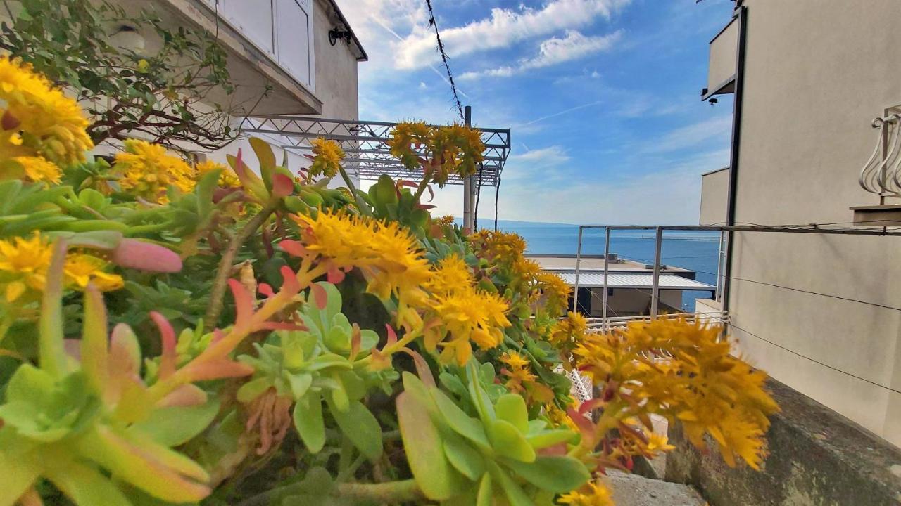 Apartment Cedo Omiš Exterior foto